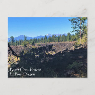 Cartão Postal Floresta de Lava, OU