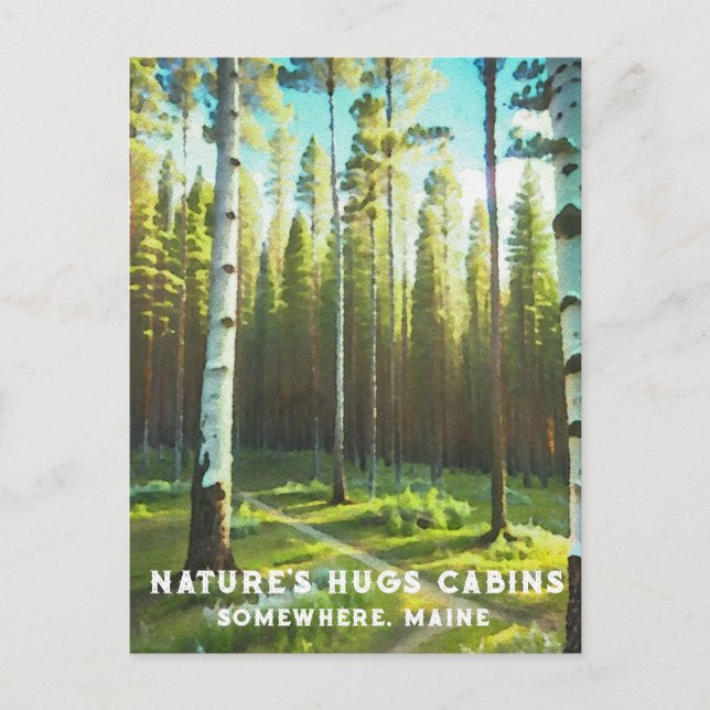 Cartão Postal *~* Floresta de Maine Bétula de Sempre-verdes AP49 (Frente)