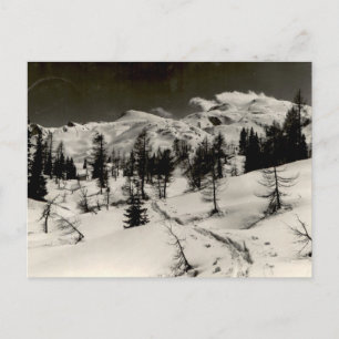 Cartão Postal Floresta de Montanha Nevada Vista Monocromática Vi