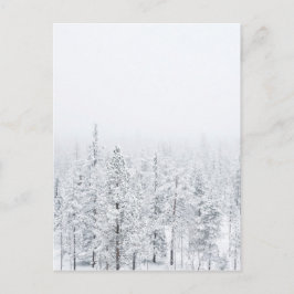 Cartão Postal Floresta de neve