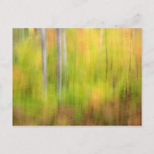 Cartão Postal Floresta de Outono   Michigan, Península Superior