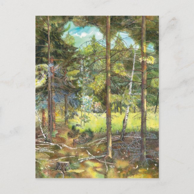 Cartão Postal Floresta de pinheiro (Frente)