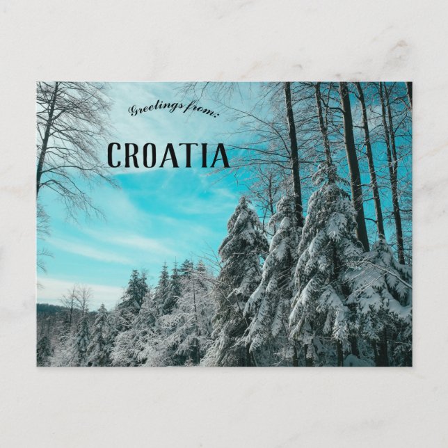 Cartão Postal Floresta De Pinheiro Coberta No Pelotão De Neve, C (Frente)