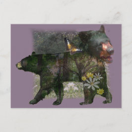 Cartão Postal Floresta De Urso Negro Dentro De