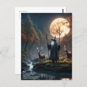 Cartão Postal Floresta do assistente