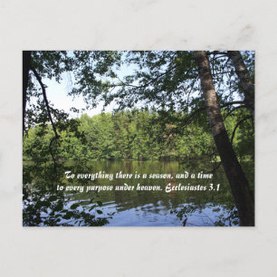 Cartão Postal Floresta do Lago Ecclesiastes