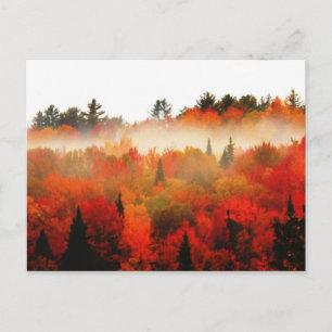 Cartão Postal Floresta do outono de Altos Picos Adirondacks