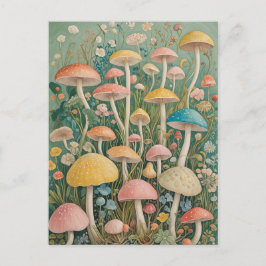 Cartão Postal Floresta Encantada