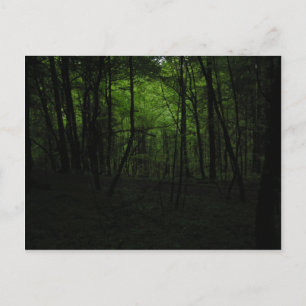 Cartão Postal Floresta escura abandonada