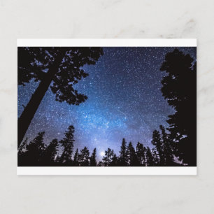 Cartão Postal Floresta Estrelando Um Astronomia
