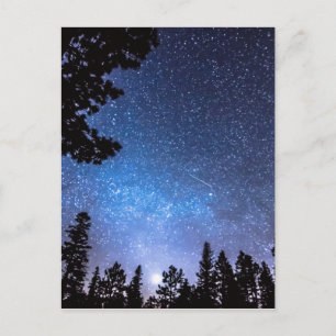 Cartão Postal Floresta Estrelando Um Astronomia