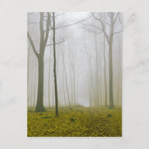 Cartão Postal Floresta fantasia com neblina e folhagem amarela