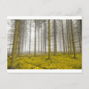 Cartão Postal floresta fantasia com neblina e folhagem amarela