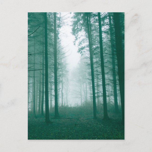 Cartão Postal Floresta fantasma com neblina em verde (Frente)