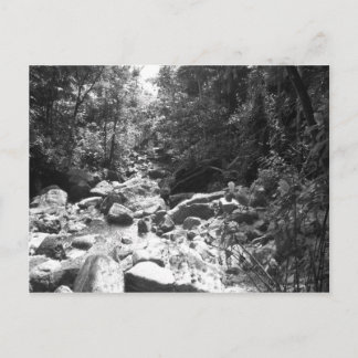 Cartão Postal Floresta húmida do nacional do EL Yunque