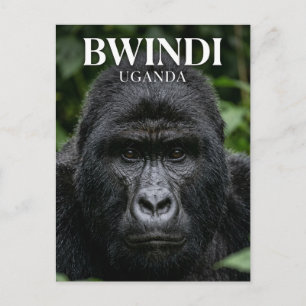 Cartão Postal Floresta Impenetrável de Bwindi Uganda