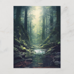 Cartão Postal Floresta Misteriosa