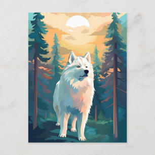 Cartão Postal Floresta montanhosa de inverno samoia durante o pô