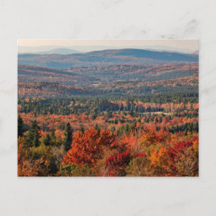 Cartão Postal Floresta Nacional das Montanhas Brancas Nova Ham