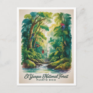 Cartão Postal Floresta Nacional El Yunque Porto Rico