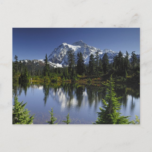 Cartão Postal Floresta Nacional Mount Baker-Snoqualmie (Frente)