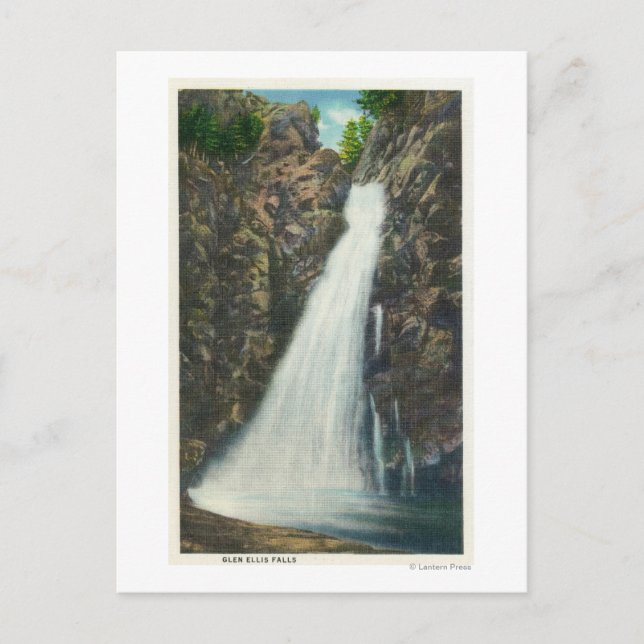 Cartão Postal Floresta Nat, Montanhas Brancas (Frente)