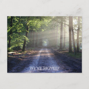 Cartão Postal Floresta Natureza Montanhas Florestais que Movemos