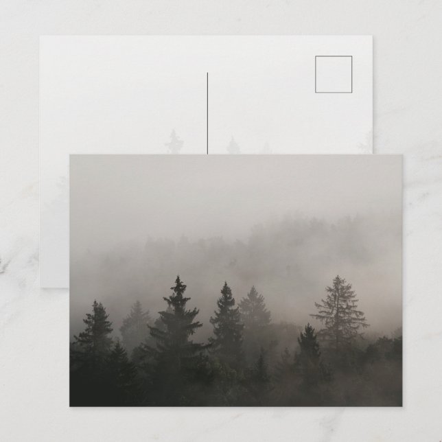 Cartão Postal Floresta Nebulosa e Temperamental (Frente/Verso)
