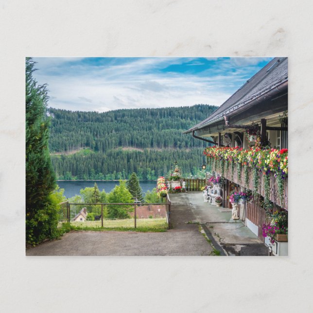 Cartão Postal Floresta Negra, Alemanha (Frente)