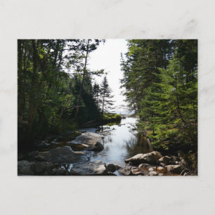 Cartão Postal Floresta perto da praia Hunters