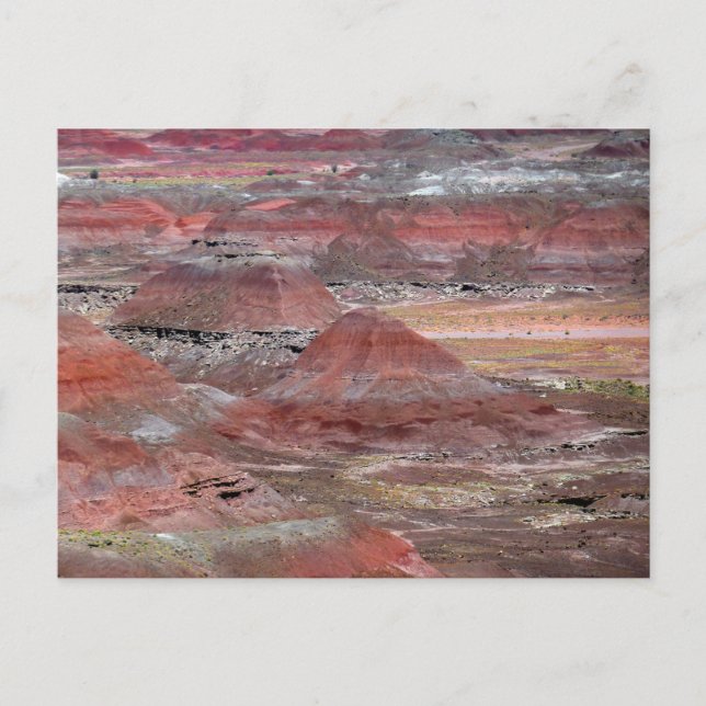 Cartão Postal Floresta Petrificada 2 (Frente)