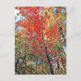 Cartão Postal floresta pontilhista