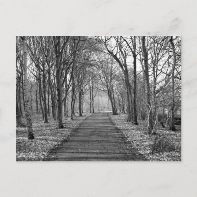 Cartão Postal Floresta, preto/branco (Frente)
