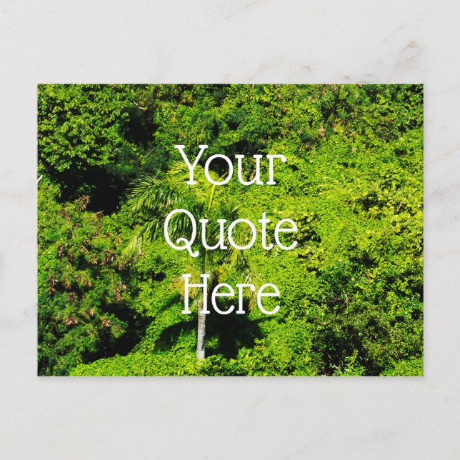 Cartão Postal Floresta Tropical (Frente)