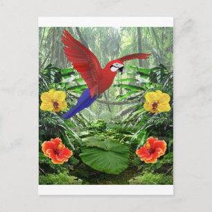 Cartão Postal Floresta Tropical de Chuva