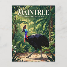 Floresta Tropical de Daintree Austrália