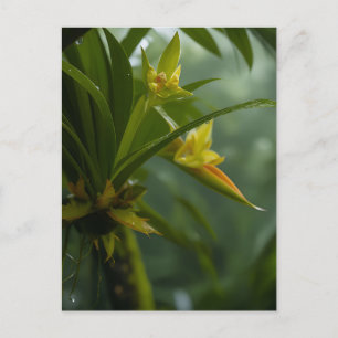 Cartão Postal Floresta Tropical de Orquídea Amarela
