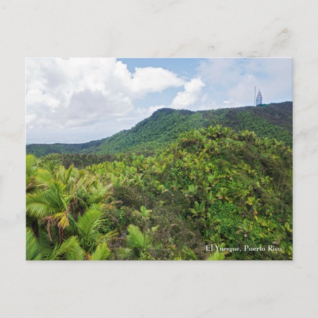 Cartão Postal floresta tropical el yunque e torre de comunicaçõe (Frente)