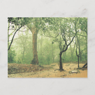 Cartão Postal Floresta Tropical Oeste de Ghats Índia