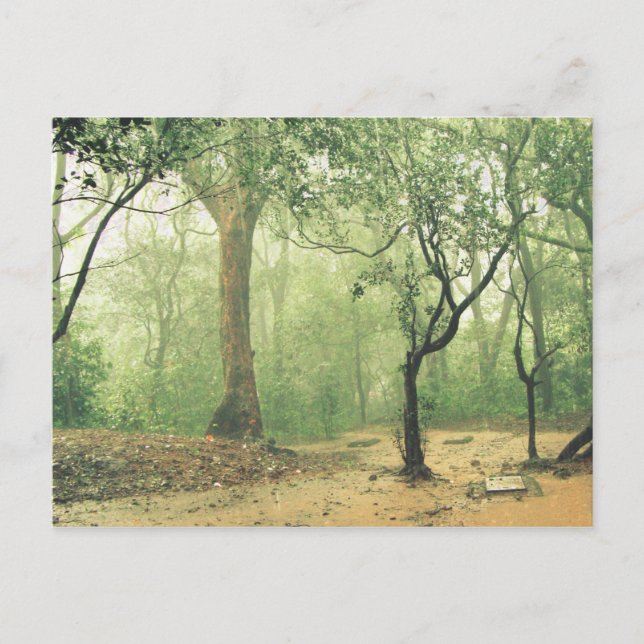 Cartão Postal Floresta Tropical Oeste de Ghats Índia (Frente)