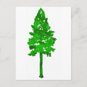 Cartão Postal Floresta verde