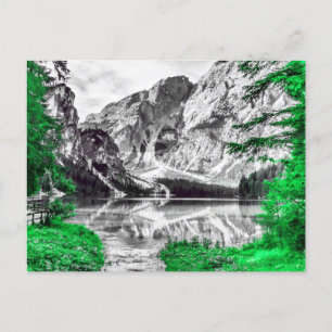 Cartão Postal Floresta Verde com Paisagem Branca Negra