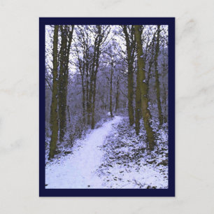 Cartão Postal Florestas Azuis em Neve