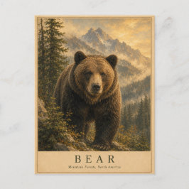 Cartão Postal Florestas de Bear Mountain VINTAGE