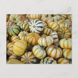 Cartão Postal Florestas de Colheita Laranja e Verde