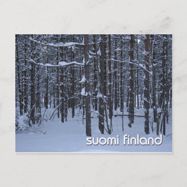 Cartão Postal Florestas de inverno de Suomi, Finlândia (Frente)