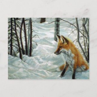 Cartão Postal Florestas de inverno, Raposa