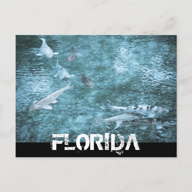 CARTÃO POSTAL FLORIDA (Frente)