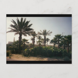 Cartão Postal Flórida