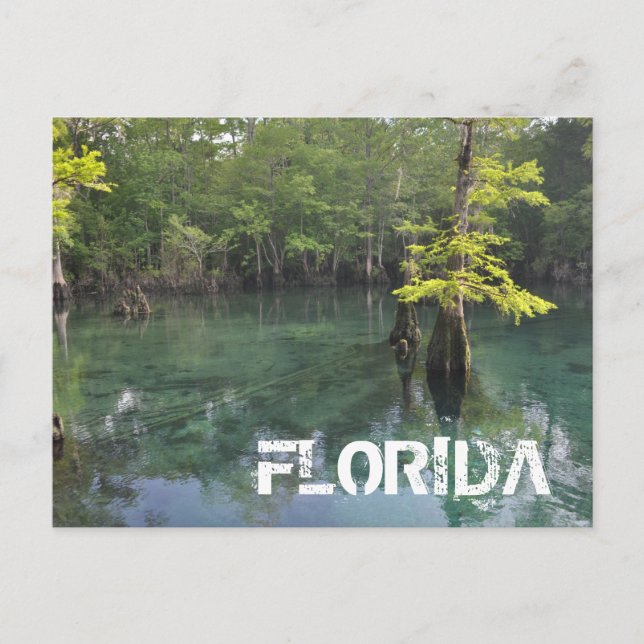 CARTÃO POSTAL FLORIDA (Frente)